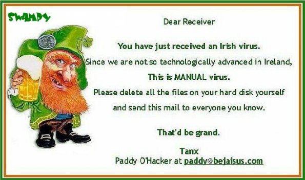 paddy