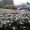 20090107155829-photo