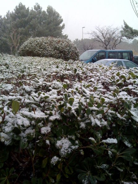 20090107155829-photo