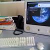 20090422125902-photo