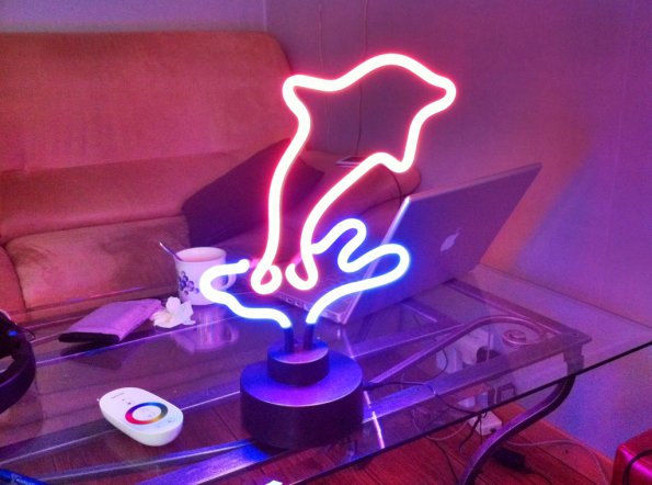 20120428105128-Image