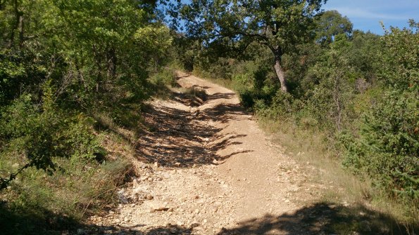 20130921201314-DSC_0519