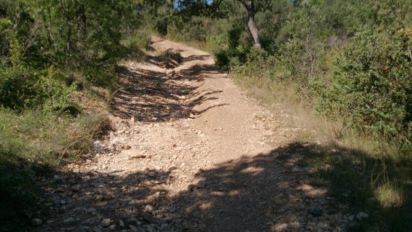 20130921201314-DSC_0520