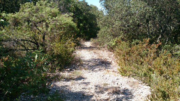 20130921201314-DSC_0521