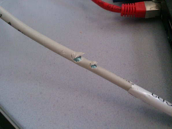 20140220111836-IMG_20140220_111758