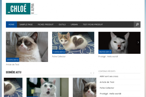 20140610143034-miaou