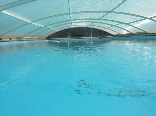 20140825114505-photo