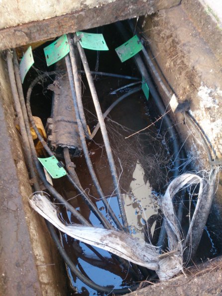 20150110120244-IMG_20150110_115956