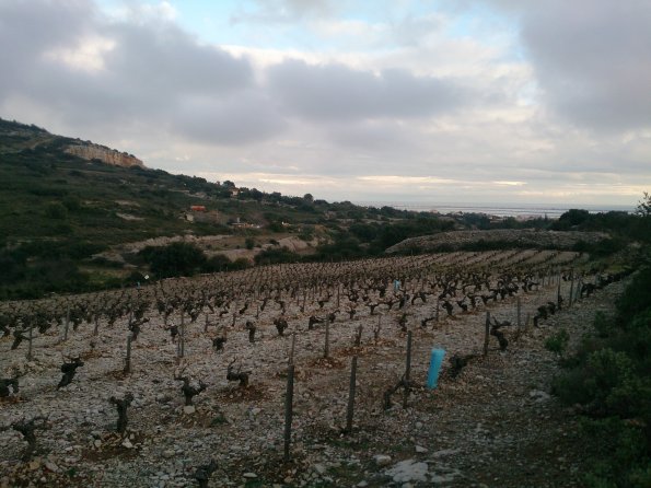 20150215181217-IMG_20150215_171006