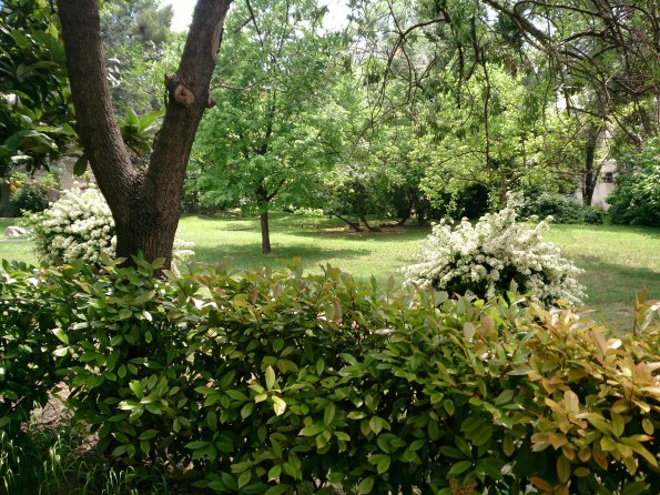 20150508131754-IMG_20150508_131733