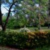 20150508193041-PANO_20150508_192940