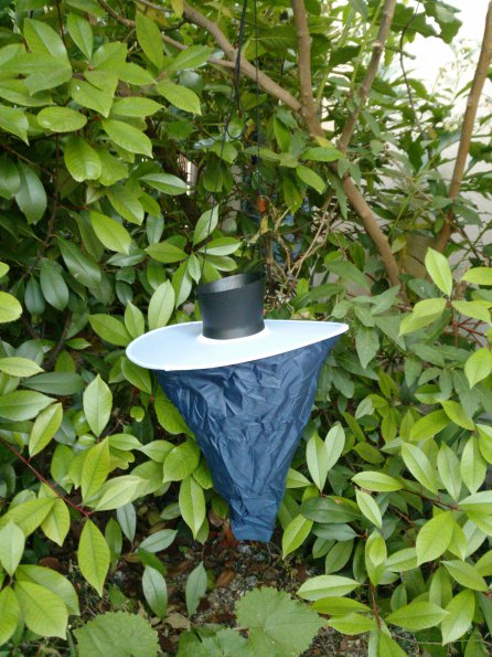 20150527201611-IMG_20150527_201251