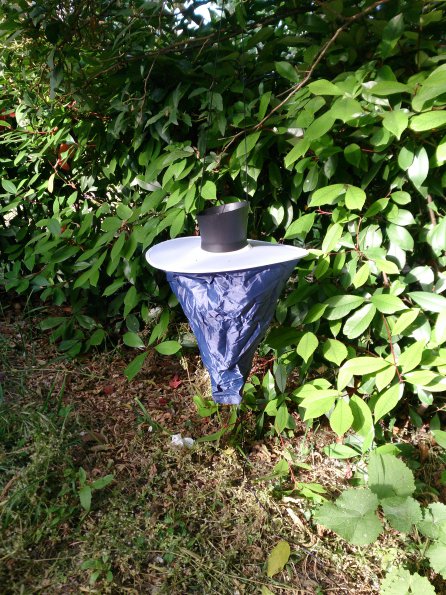 20150528084834-IMG_20150528_083633