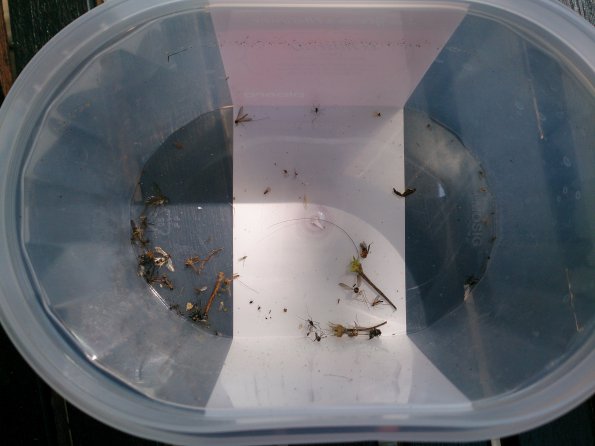 20150530115951-IMG_20150530_115830