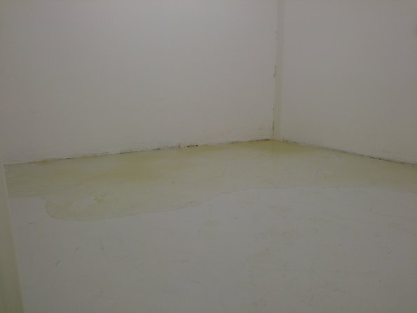 20151211202516-IMG_20151211_152856