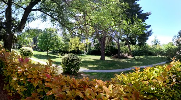 20170423123835-PANO_20170423_123156