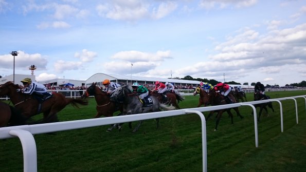 20170603185604-DSC_0428