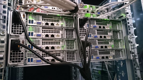 20170817122328-DSC_0500