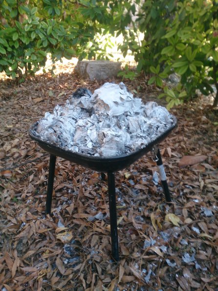 20171117121406-IMG_20171117_120632