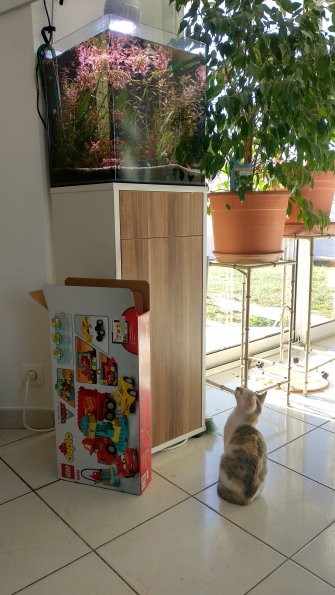 20180101123450-IMG_20180101_122938_HDR