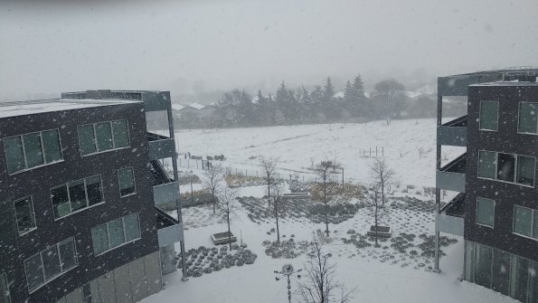 20180228140011-IMG_20180228_124619