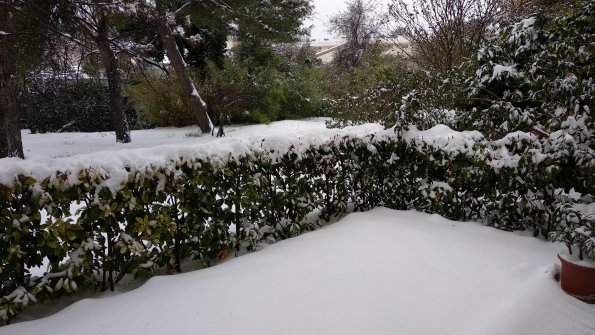 20180228165419-IMG_20180228_163848