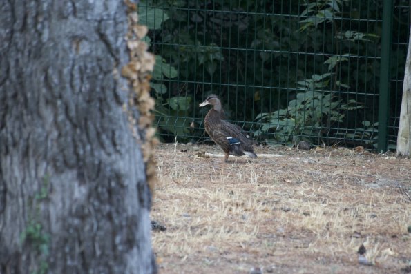 20180906090356-IMG_3474