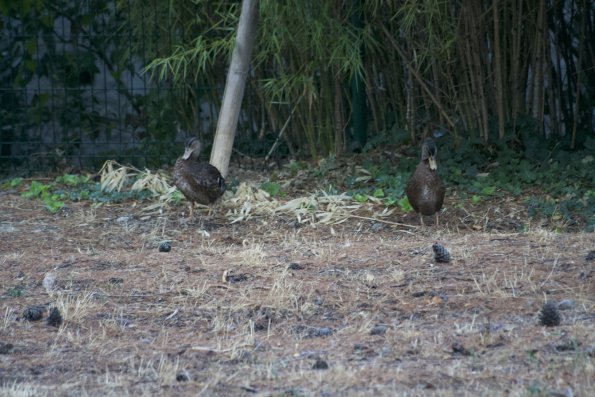 20180906090439-IMG_3479