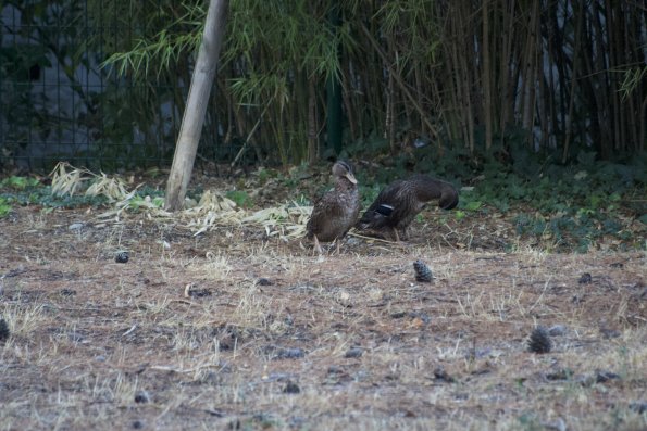 20180906091251-IMG_3481