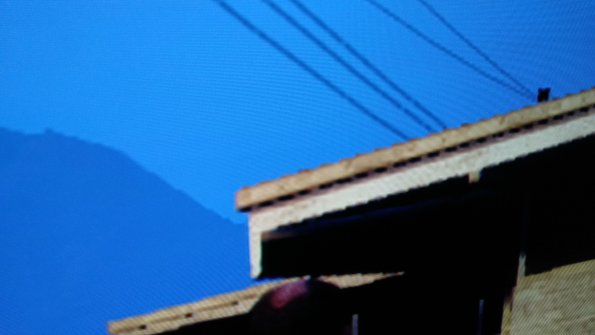 20190415102449-IMG_20190415_043045