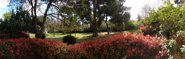 20200326135241-PANO_20200326_135129