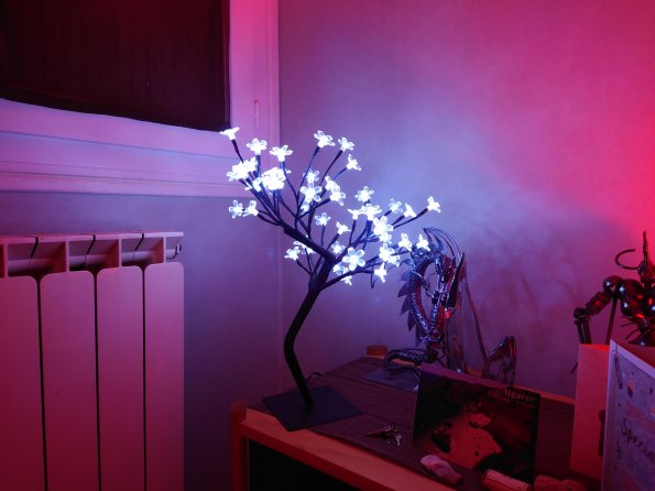 20201213123732-DSC_0025