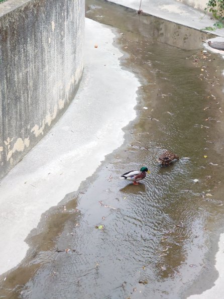 20201227155636-DSC_0038