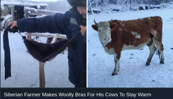 20201228124510-Image_Pasted_at_2020-12-28_12-36