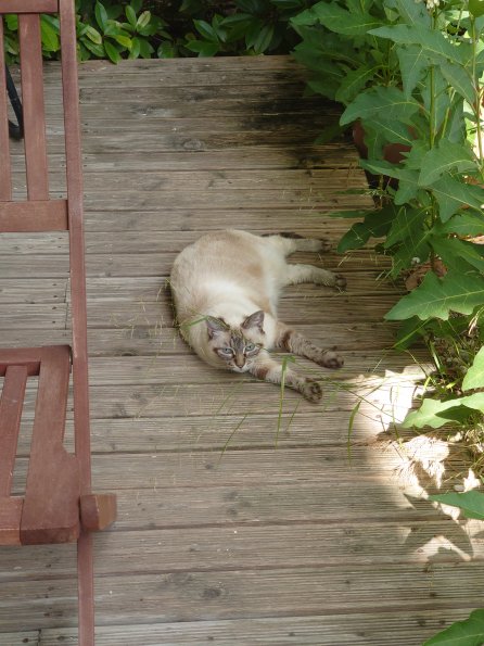 20210628172843-DSC_0108