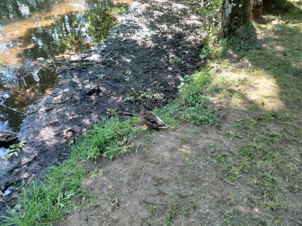 20210912160343-DSC_0190