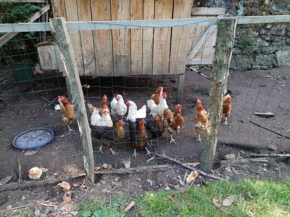 20210912161511-DSC_0194