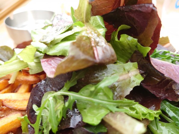 20220304144747-DSC_0365