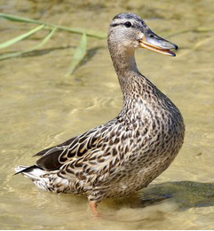 20220426143817-Untitled_3