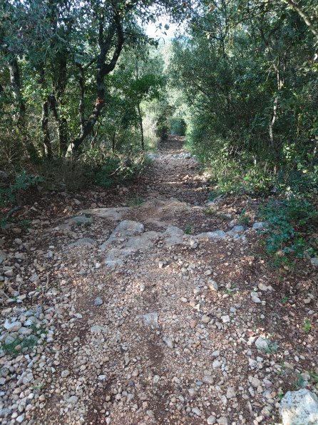 20221120200510-DSC_0482