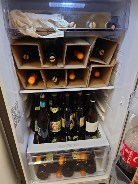 20221215162703-DSC_0499