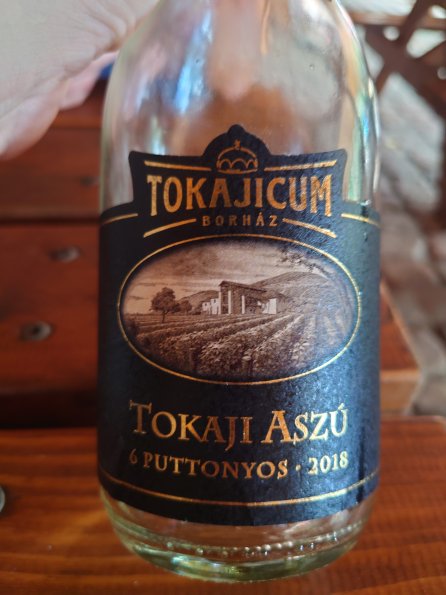 20230806181255-DSC_0623