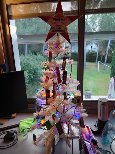 20231201191255-DSC_0493