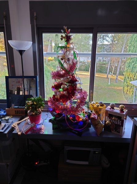 20231201191554-DSC_0303