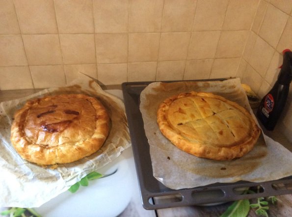 20160103124302-IMG_0159