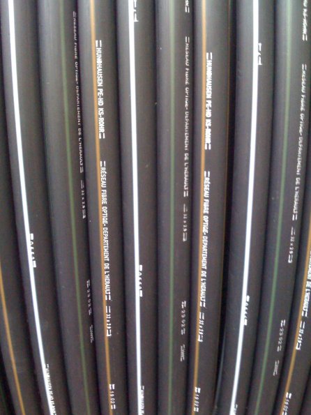 20090602213142-IMG_0382