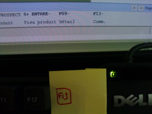 20080505170913-DSC00276