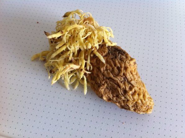 20110522115949-photo