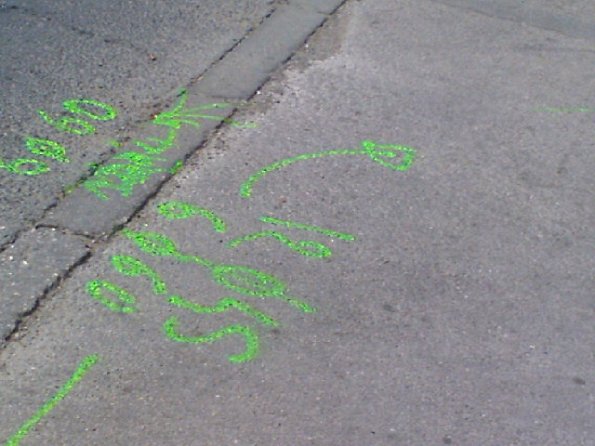 20080415130348-DSC00166